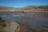 Filename=20090128_3924_Upper_Pearce_Ferry_Rapid.jpg
Filesize=36KiB
Dimensions=640x426
Date added=Jan 30, 2009 20090128_3924_Upper_Pearce_Ferry_Rapid.jpg