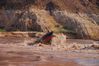Filename=Iceberg_Rapid_5.jpg
Filesize=157KiB
Dimensions=1000x669
Date added=Jul 30, 2008 Iceberg_Rapid_5.jpg